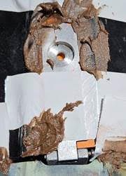 rxl report 25mar2025 2